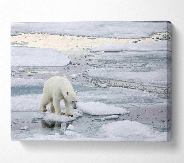  A Canvas Print of Polar Bear Iceburg Canvas Print