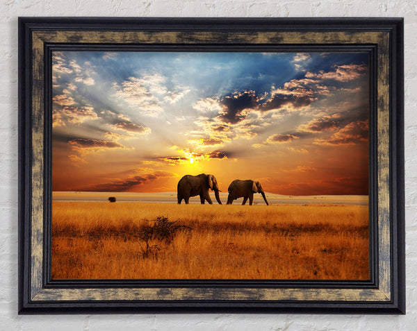 Elephant duo sunset Framed Print