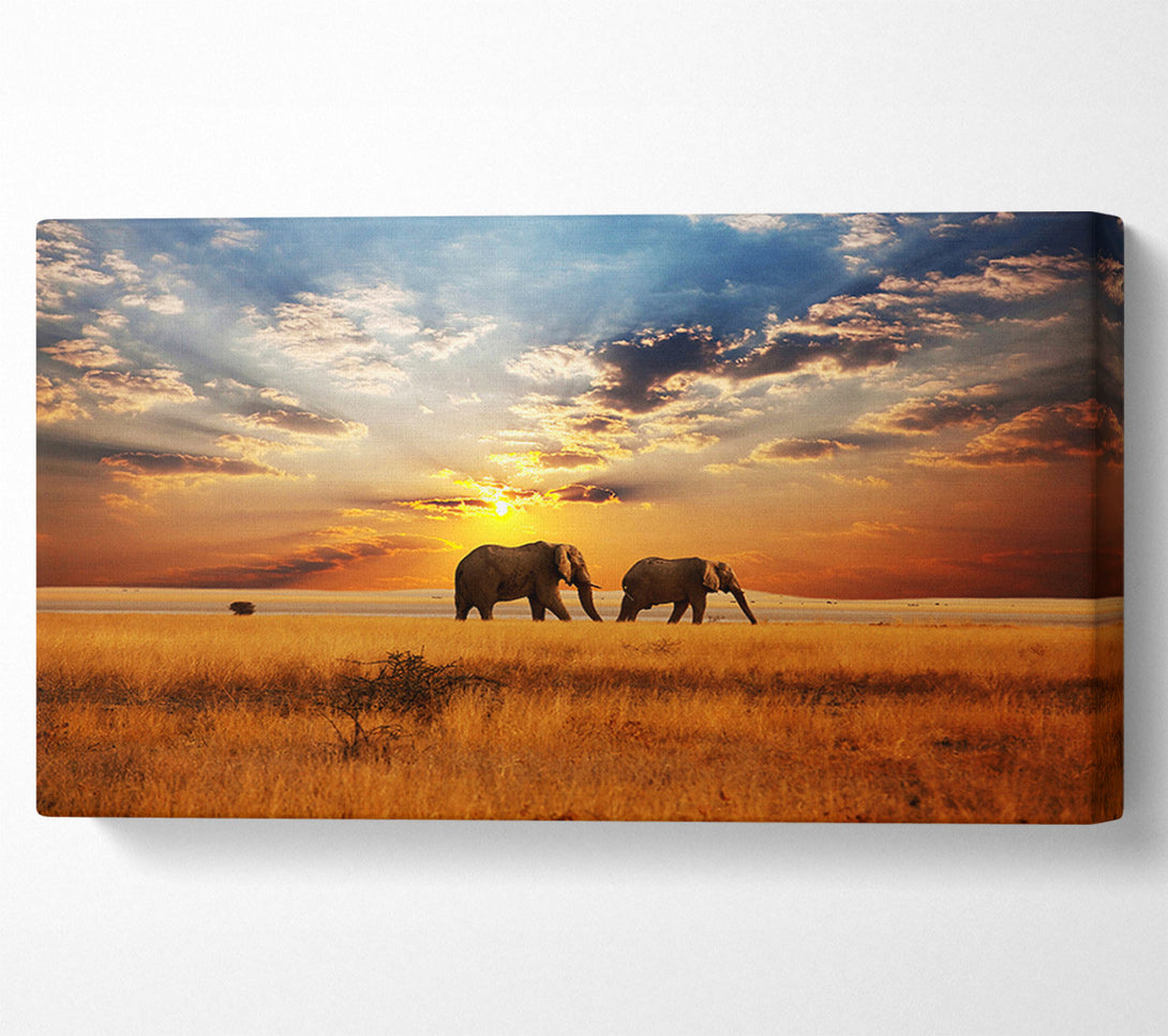 A Canvas Print of Elephant duo sunset Canvas Wall Art