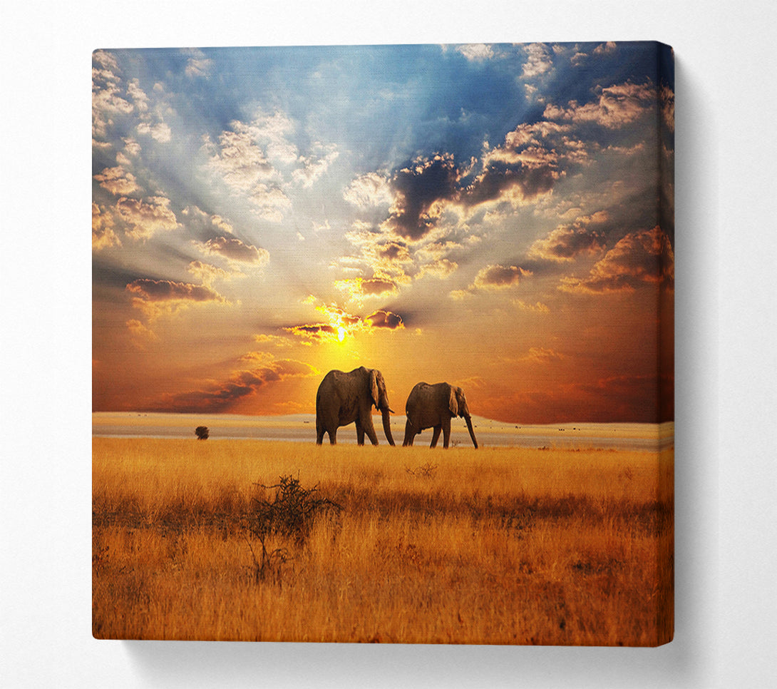  A Canvas Print of Elephant duo sunset Canvas Wall Art