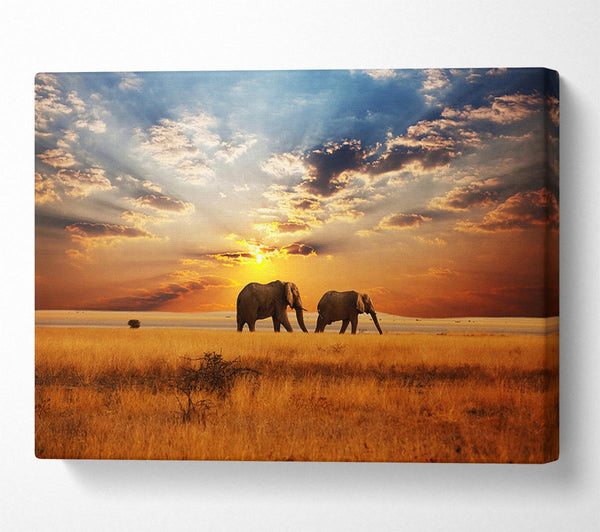  A Canvas Print of Elephant duo sunset Canvas Wall Art
