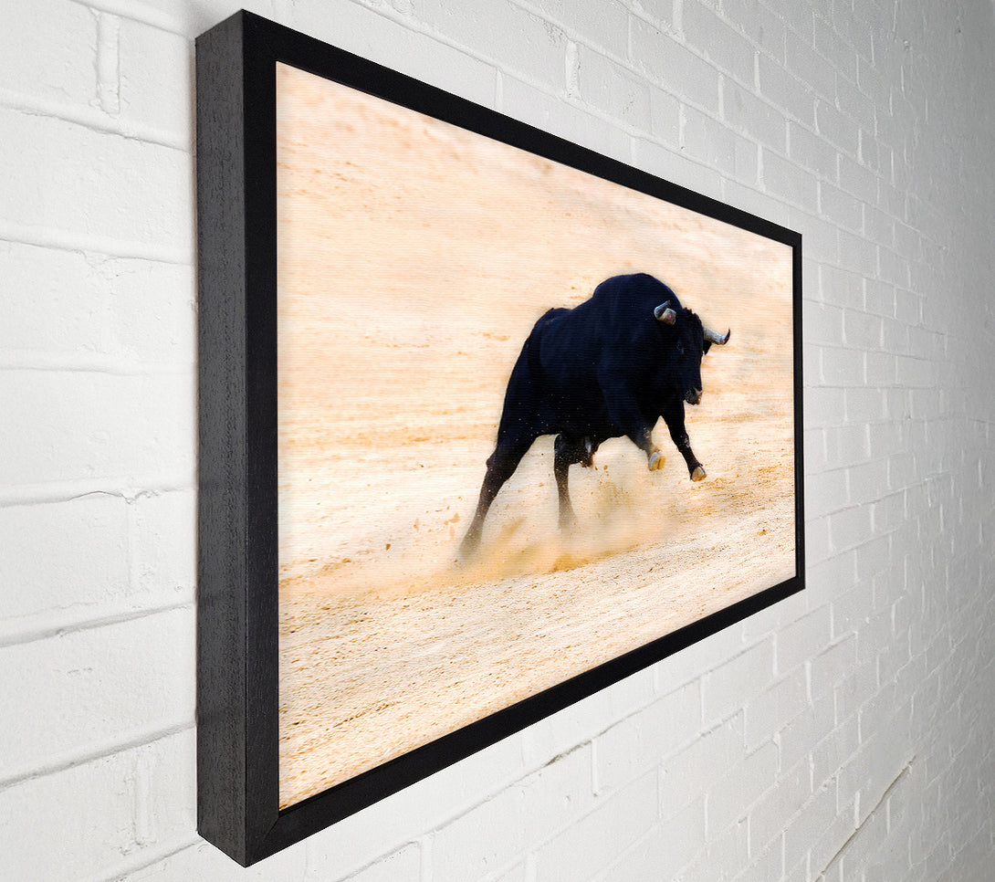  A Canvas Print of Bull Play Canvas Print