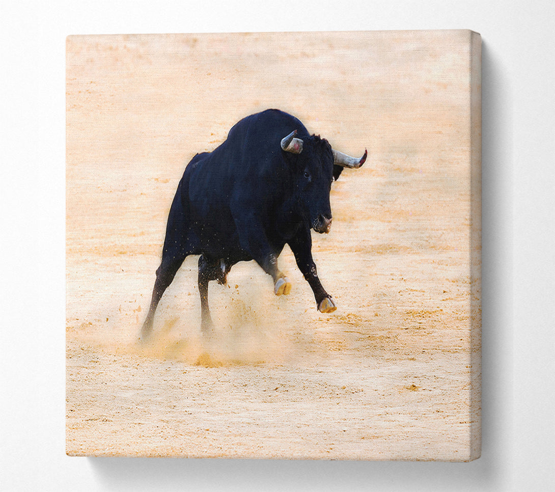  A Canvas Print of Bull Play Canvas Print