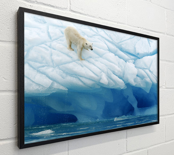 Polar Bear Ice