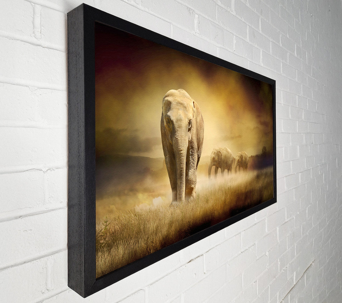  A Canvas Print of Stunning Elephant Pride Canvas Wall Art