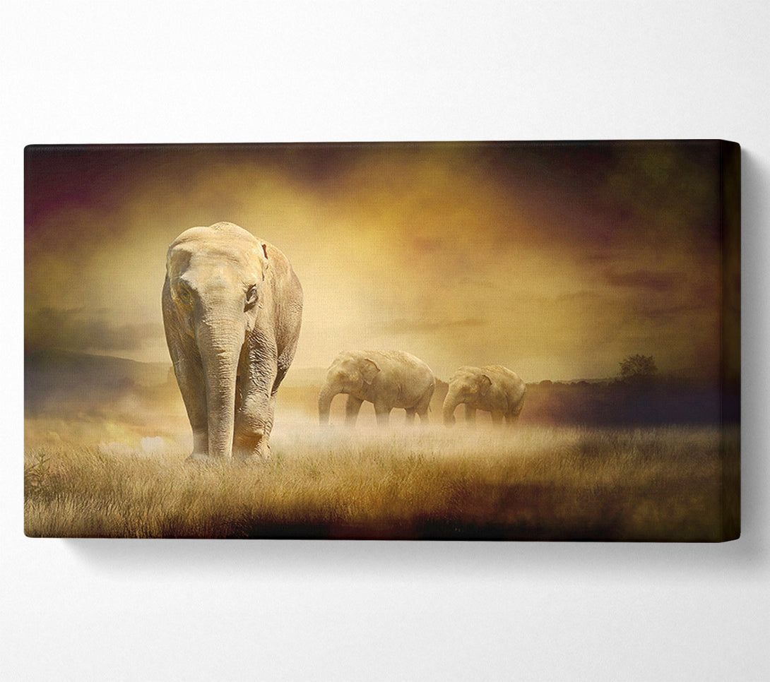  A Canvas Print of Stunning Elephant Pride Canvas Wall Art