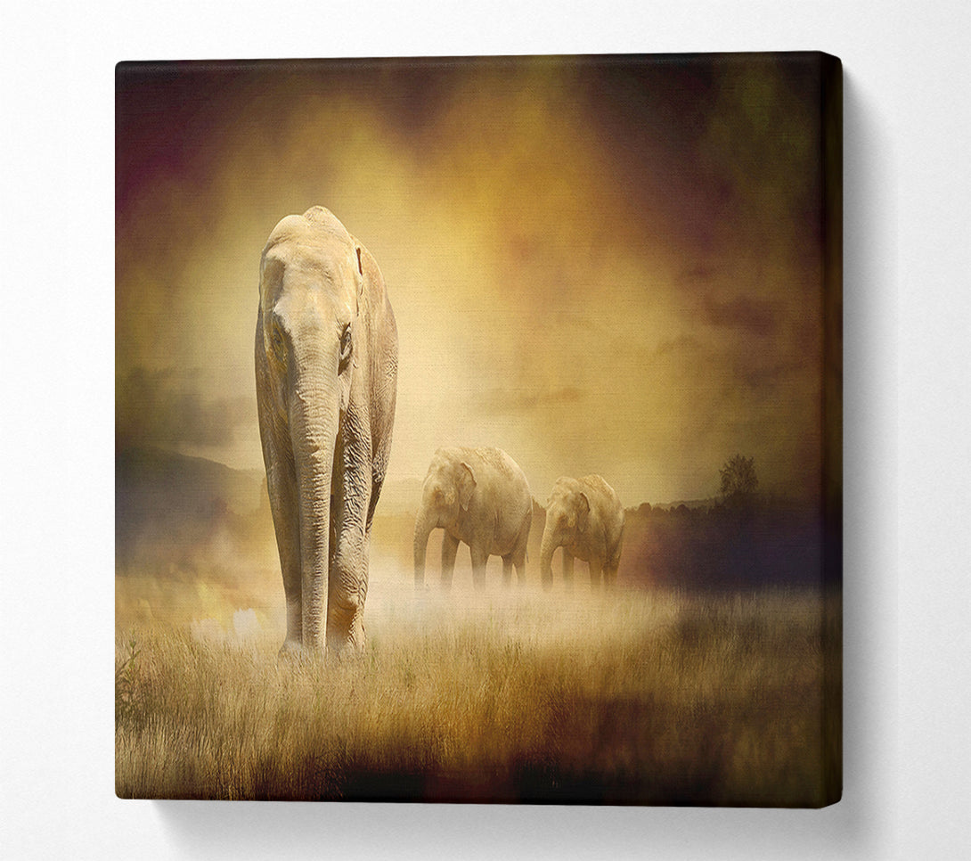  A Canvas Print of Stunning Elephant Pride Canvas Wall Art