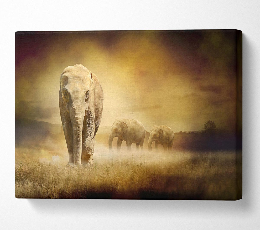  A Canvas Print of Stunning Elephant Pride Canvas Wall Art