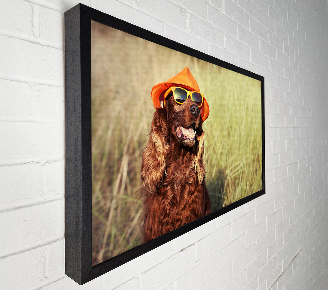  A Canvas Print of Sunny Days Dog Canvas Wall Art