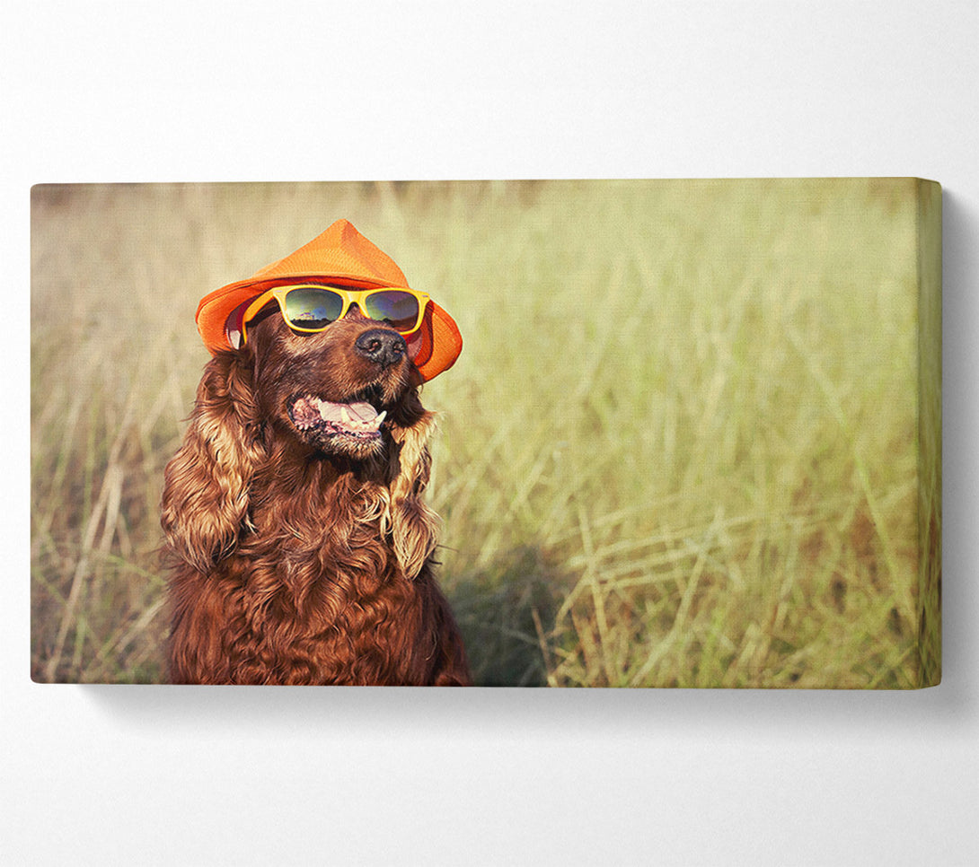  A Canvas Print of Sunny Days Dog Canvas Wall Art
