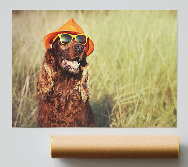 Sunny Days Dog Poster