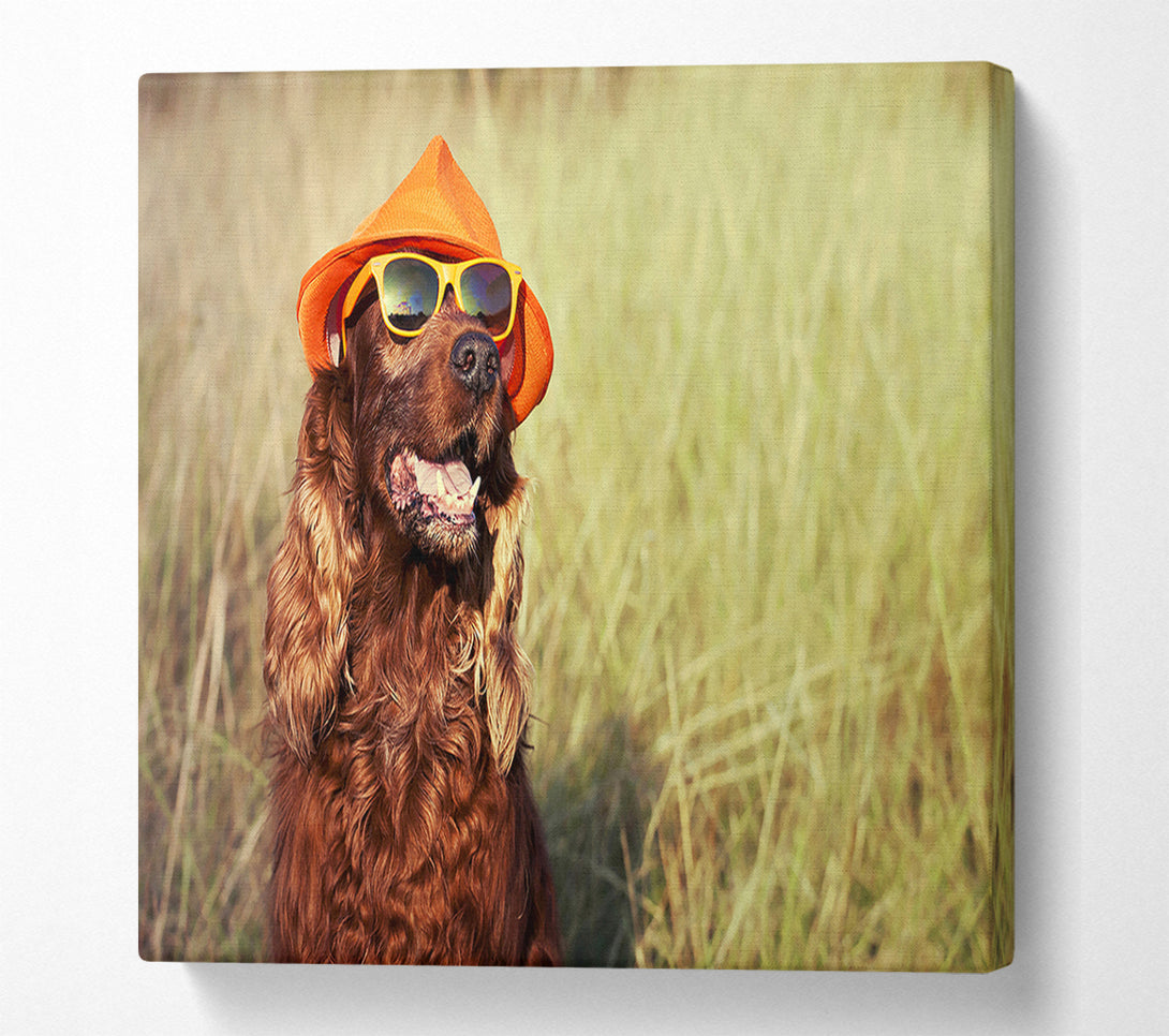  A Canvas Print of Sunny Days Dog Canvas Wall Art
