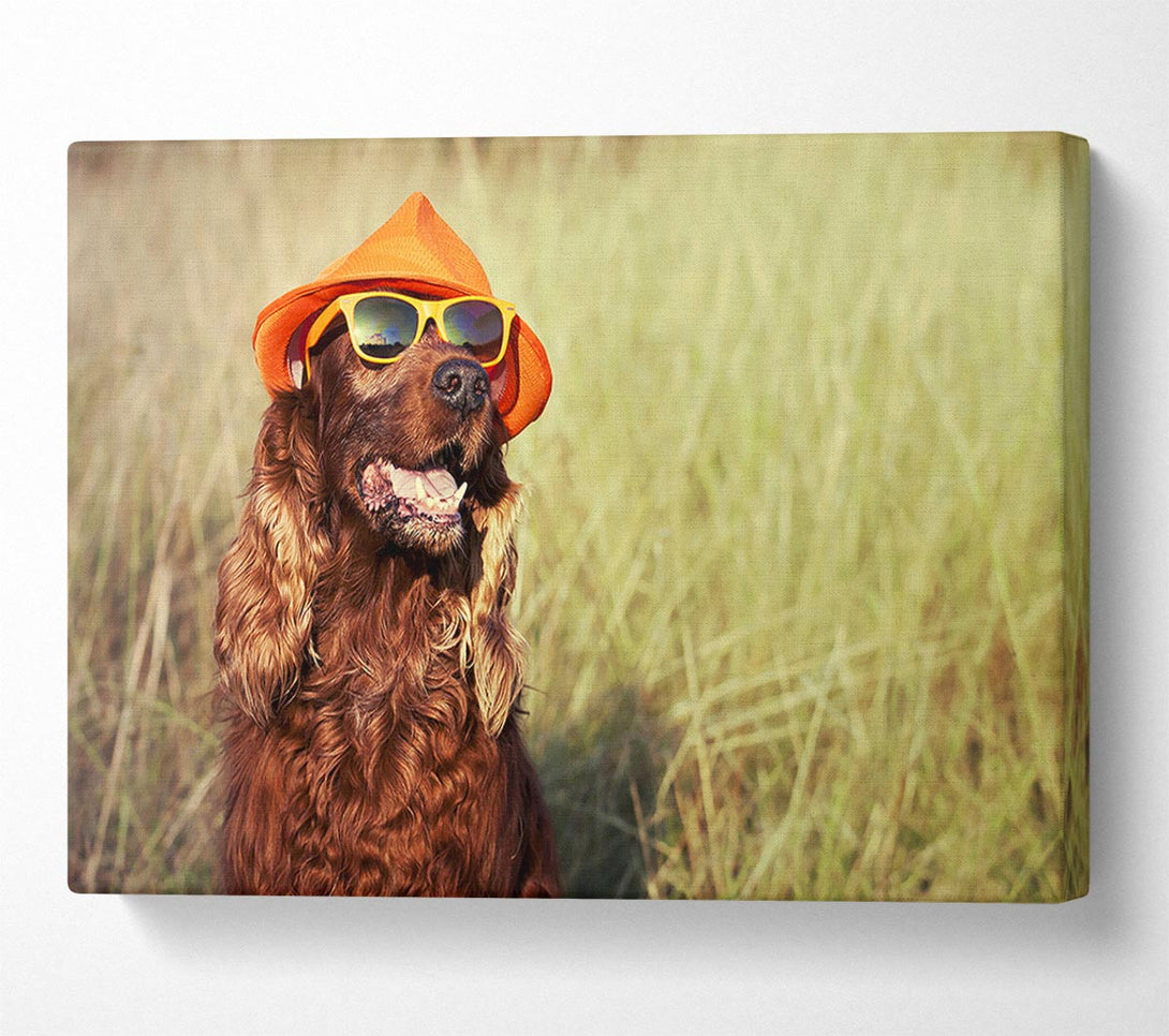  A Canvas Print of Sunny Days Dog Canvas Wall Art