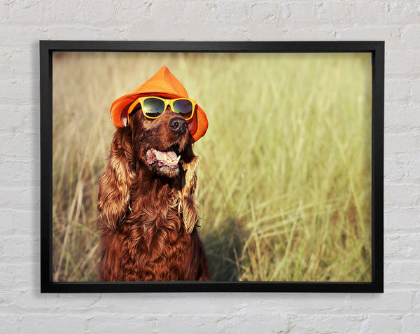 Sunny Days Dog Framed Print