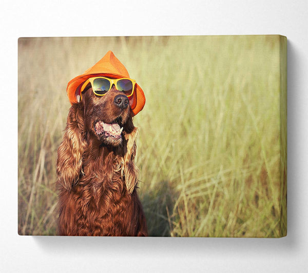  A Canvas Print of Sunny Days Dog Canvas Wall Art