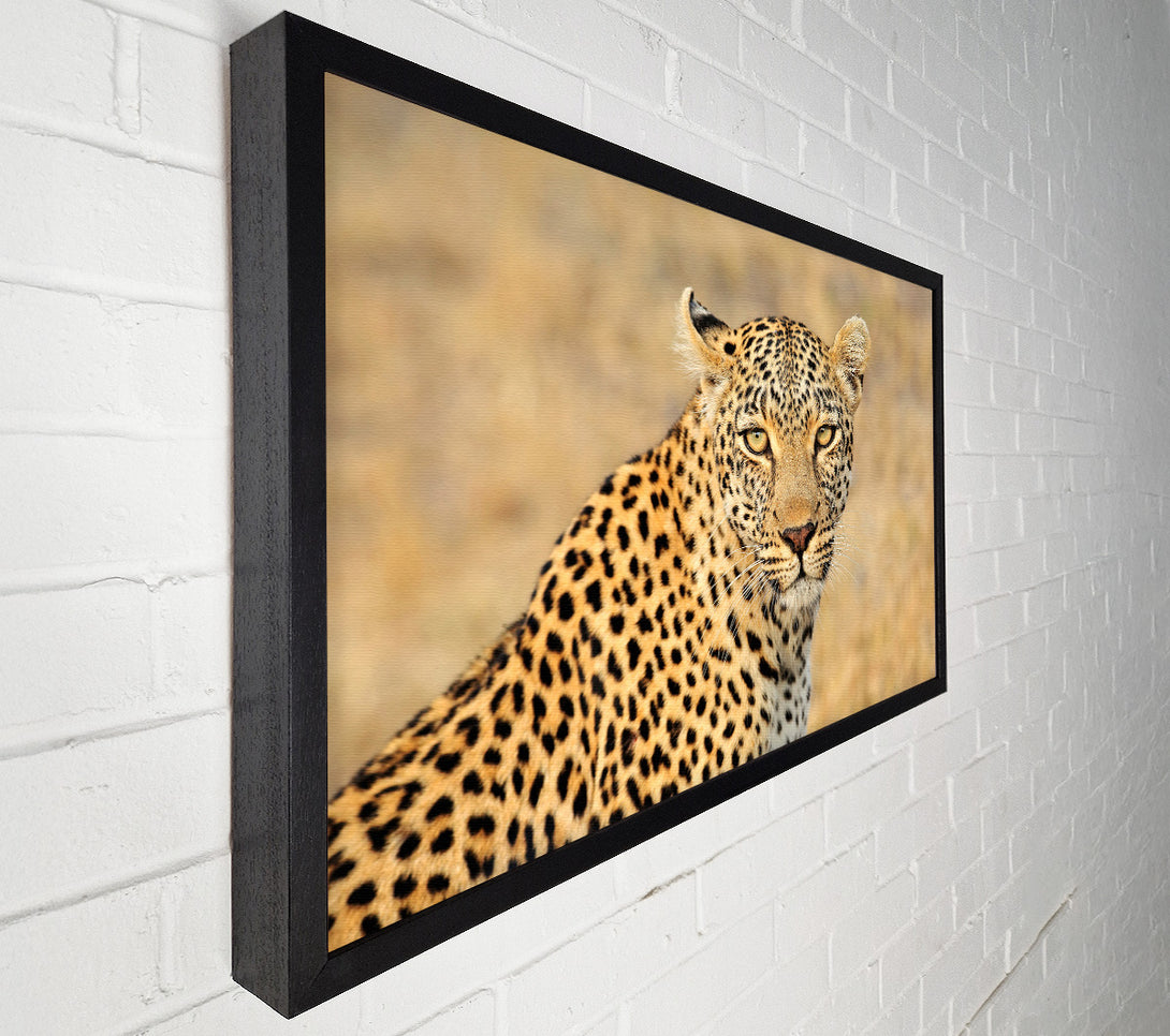  A Canvas Print of Stunning Leopard Canvas Art