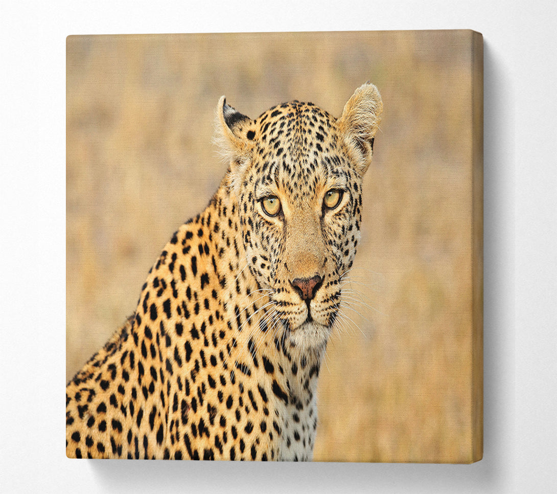  A Canvas Print of Stunning Leopard Canvas Art