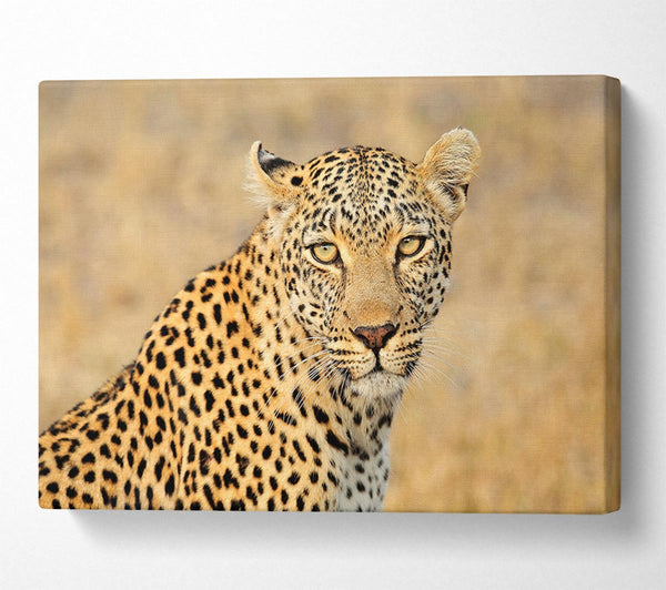  A Canvas Print of Stunning Leopard Canvas Art