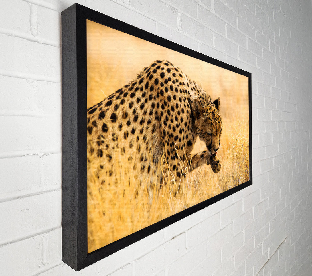  A Canvas Print of Cheetah Wash Canvas Art