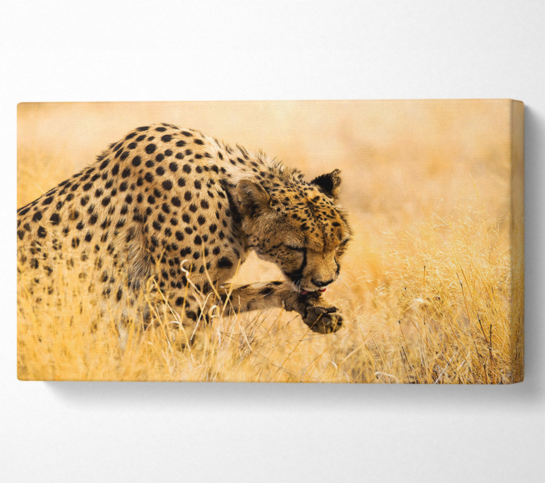  A Canvas Print of Cheetah Wash Canvas Art