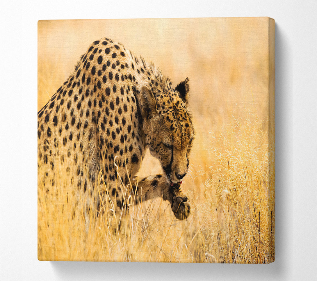  A Canvas Print of Cheetah Wash Canvas Art