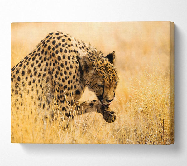  A Canvas Print of Cheetah Wash Canvas Art