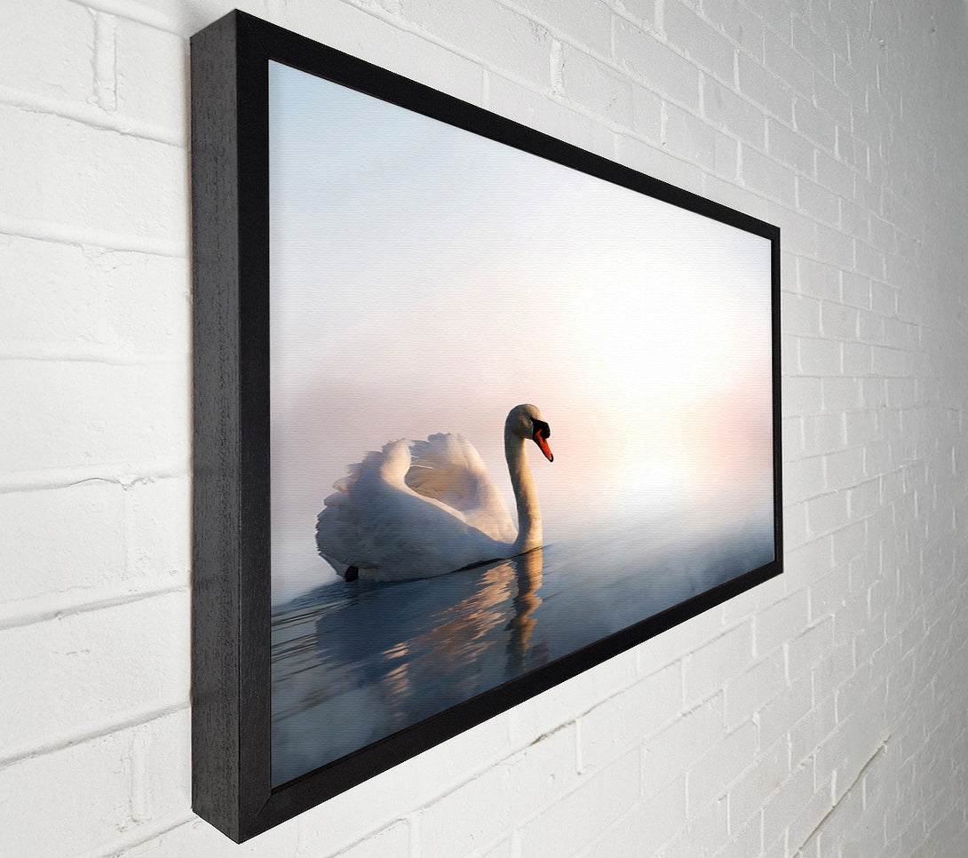  A Canvas Print of Misty Swan Canvas Wall Art
