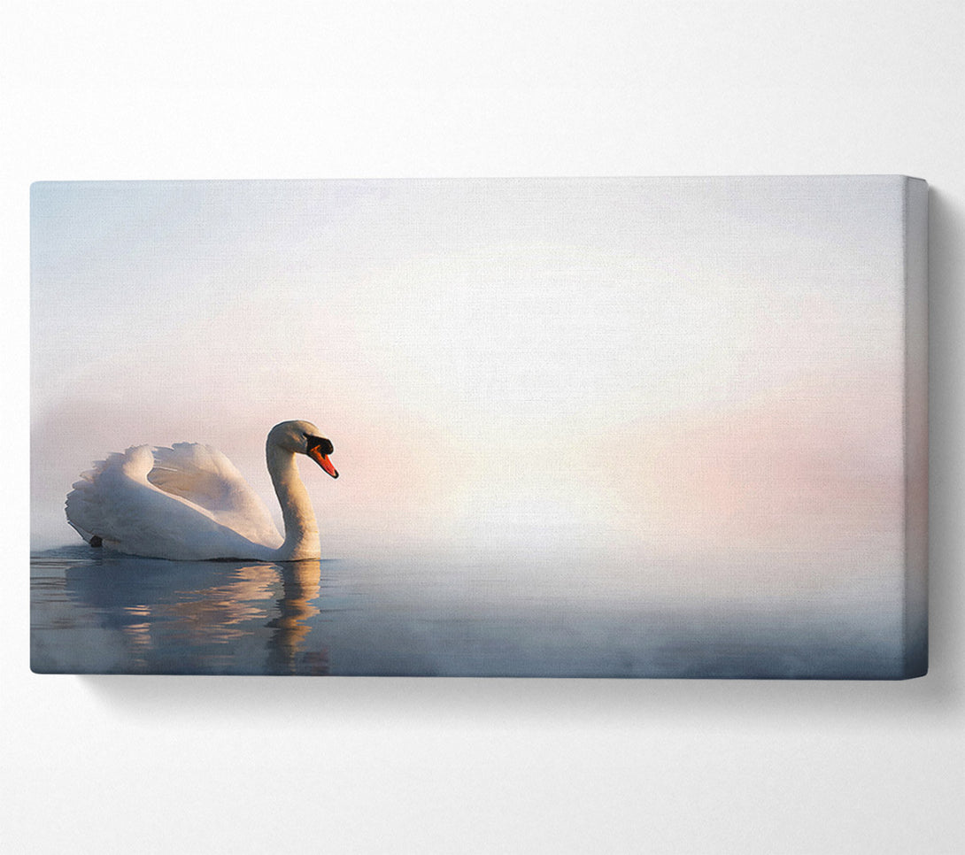  A Canvas Print of Misty Swan Canvas Wall Art