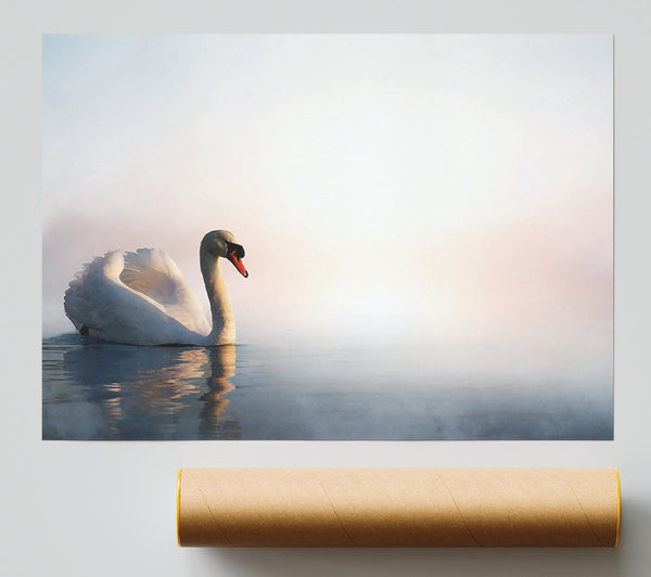 Misty Swan Poster