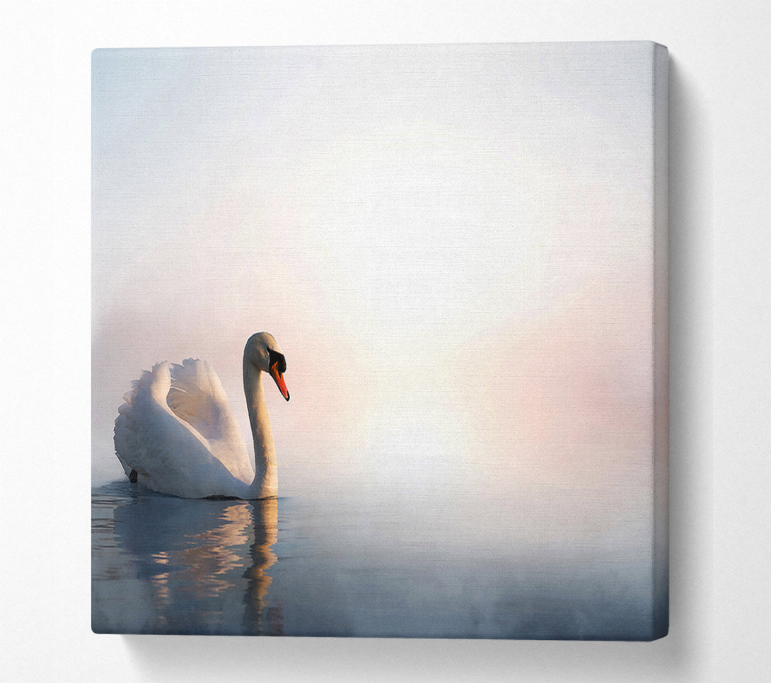  A Canvas Print of Misty Swan Canvas Wall Art