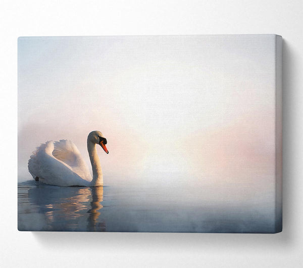  A Canvas Print of Misty Swan Canvas Wall Art