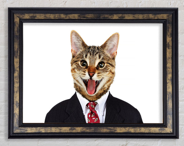 Buisness Cat