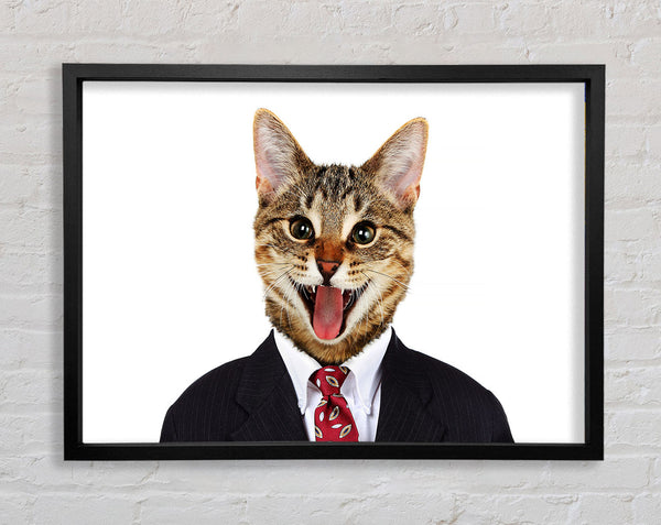 Business-Katze