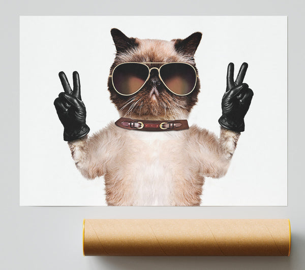 Cat Peace Poster