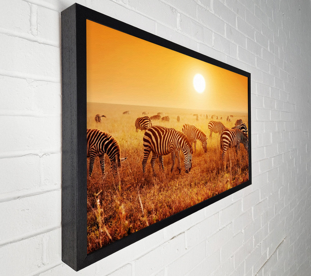  A Canvas Print of Zebra Sunset Canvas Art