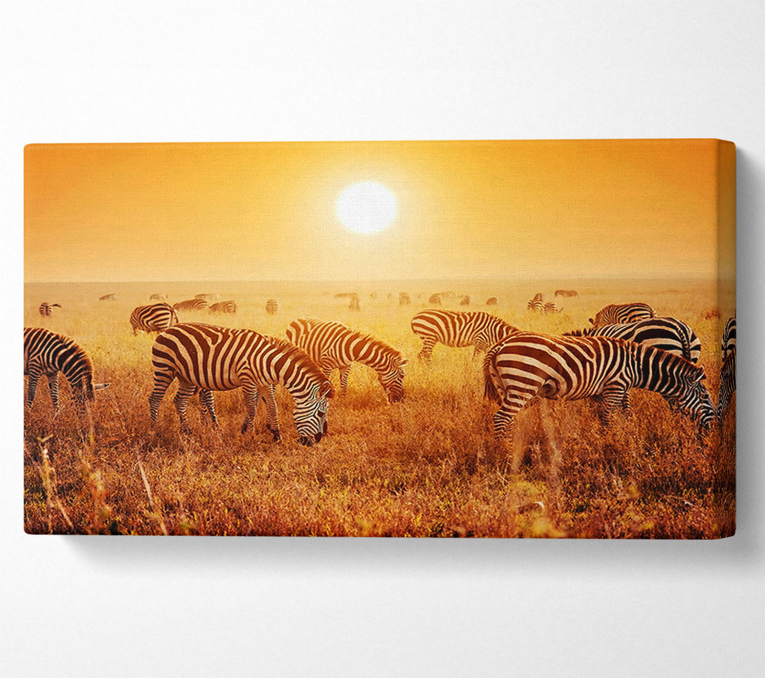  A Canvas Print of Zebra Sunset Canvas Art