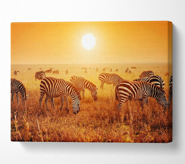  A Canvas Print of Zebra Sunset Canvas Art