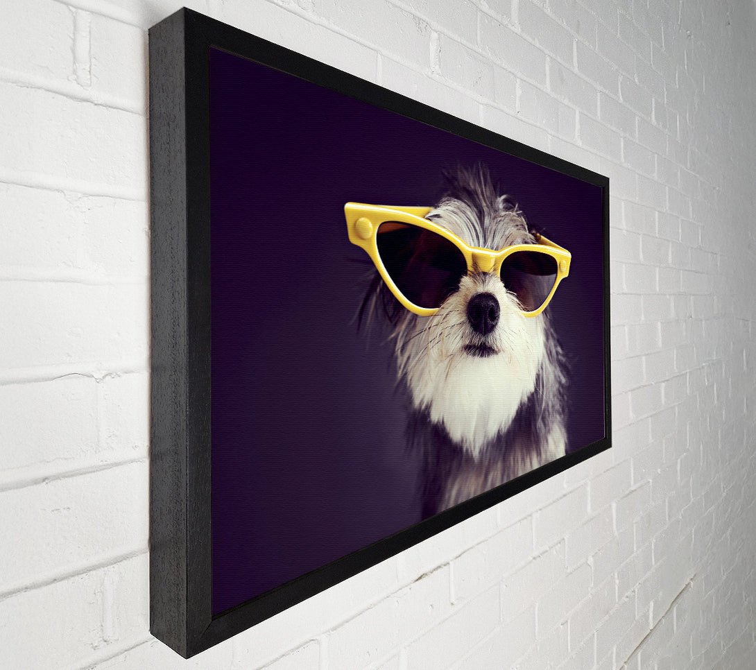  A Canvas Print of Sunglasses Dog Pooch Canvas Art
