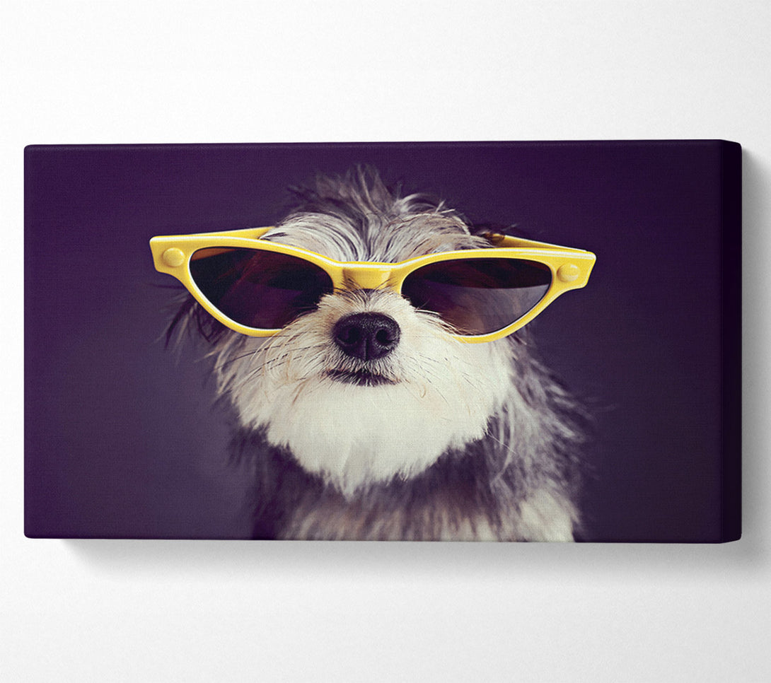  A Canvas Print of Sunglasses Dog Pooch Canvas Art