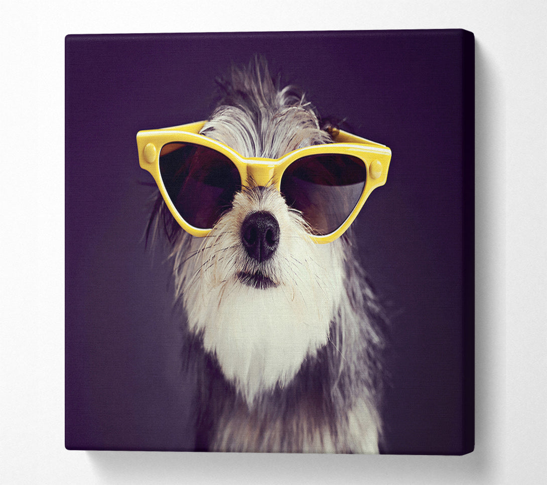  A Canvas Print of Sunglasses Dog Pooch Canvas Art