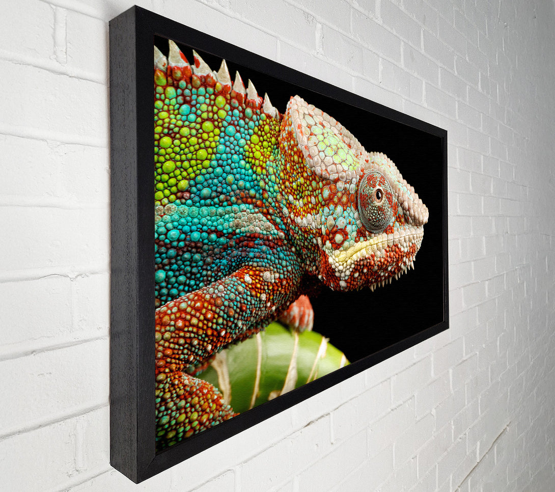  A Canvas Print of Chameleon Face Canvas Print