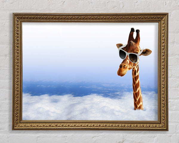 Giraffe Head In The Clouds Framed Print