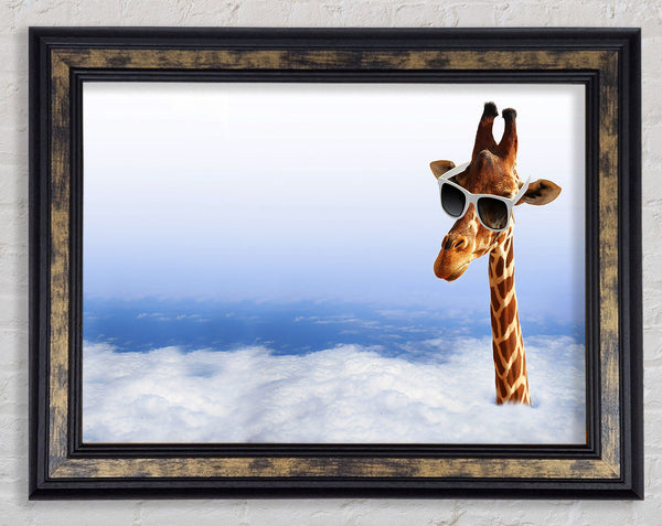 Giraffe Head In The Clouds Framed Print