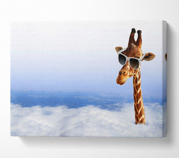  A Canvas Print of Giraffe Head In The Clouds Canvas Print