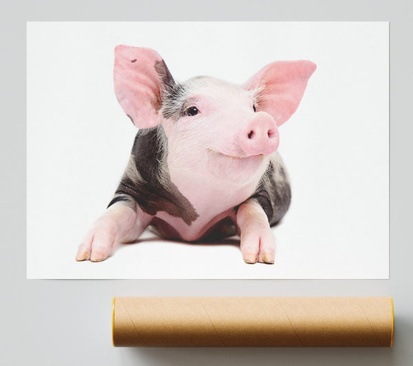 Happy Pig Poster