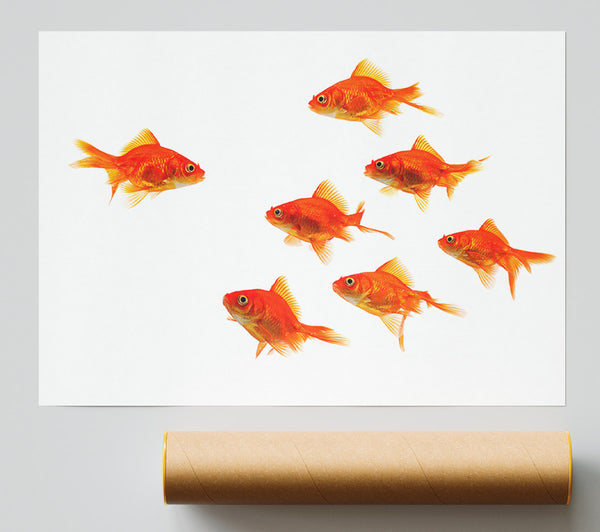 Goldfish Leader Giclee Print