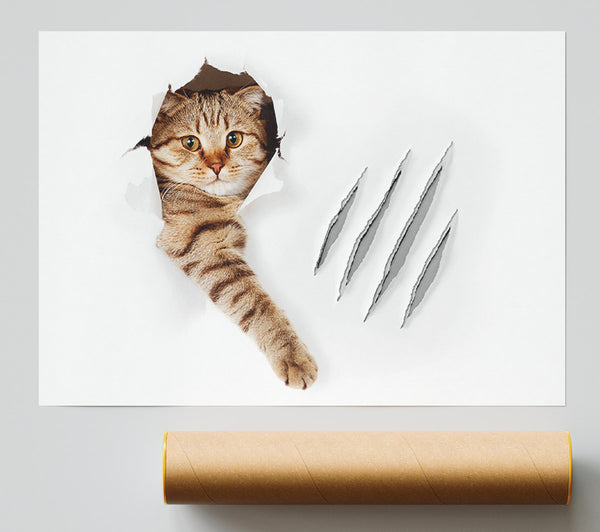 Cat Claws Giclee Print