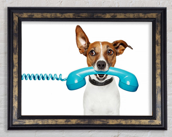 Terrier Dog Phone Call Framed Print
