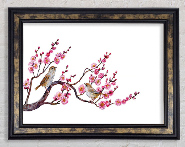 Cherry Tree Love Birds Framed Print