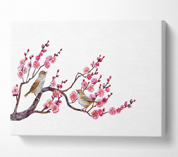 A Canvas Print of Cherry Tree Love Birds Canvas Art